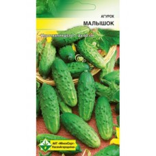 Огурцы Малышок 20шт.