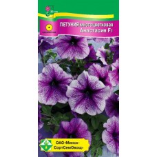 Петуния гибридная многоцветковая Анастасия F1 Петуния гибридная многоцветковая Анастасия F1