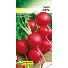 Редис Жара 3г.
