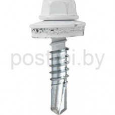 Саморез кровельный 5,5х19мм RAL 9003 (белый сигнальный) (уп50шт) Саморез кровельный 5,5х19мм RAL 9003 (белый сигнальный) (уп50шт)