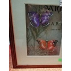 Шкатулка бабочки, арт. 680450                               